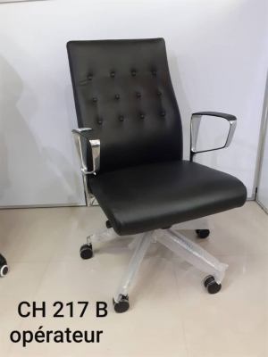 Ch 217-B