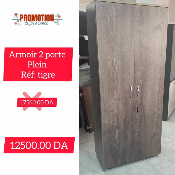 ARMOIR 2 PORTE PLEIN