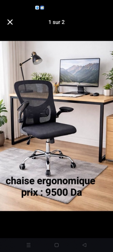 chaise leon