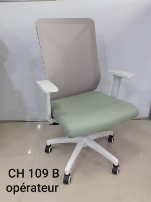 Ch 109-B