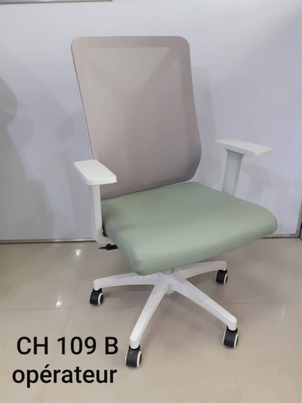 Ch 109-B