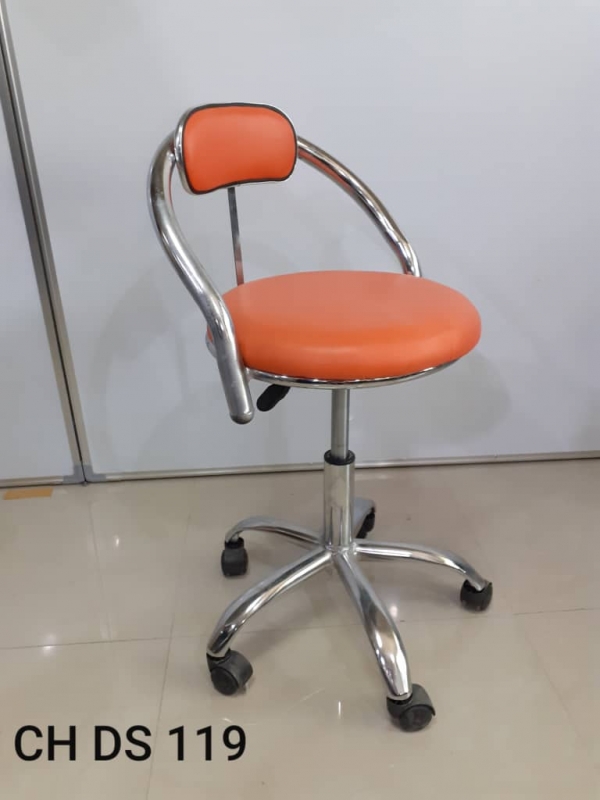 Ch DS-119