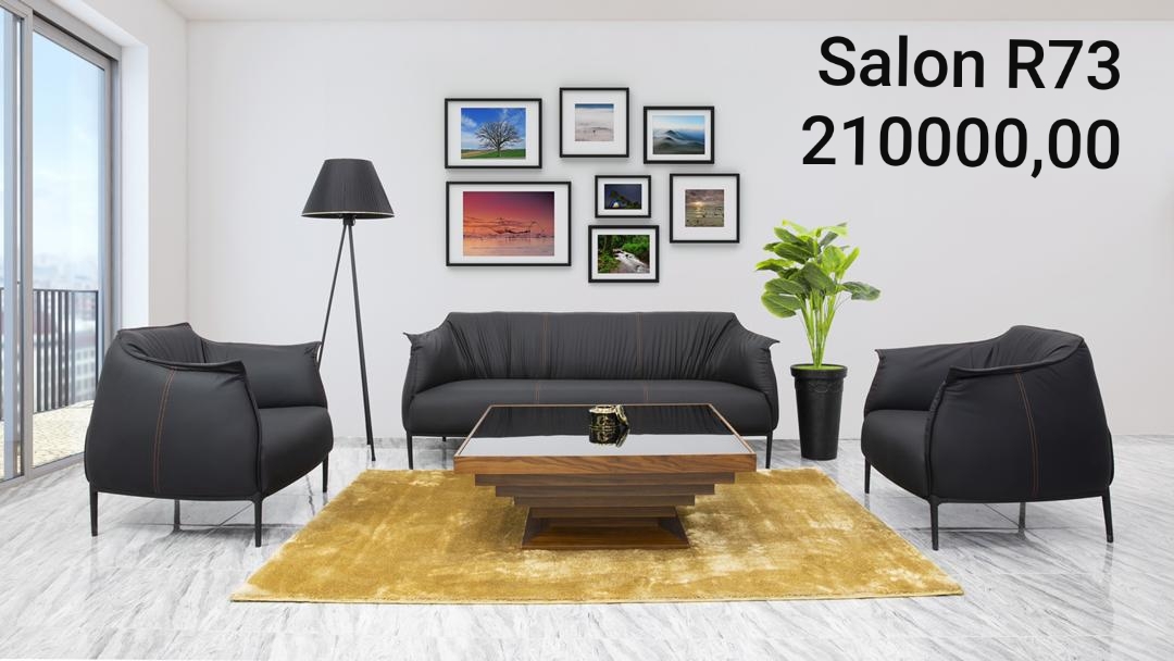 Salon importation R73